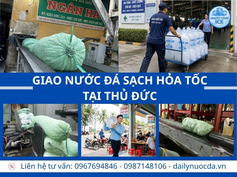 Đại lý nước đá tại Thủ Đức – Giao nhanh, sạch và tiện lợi